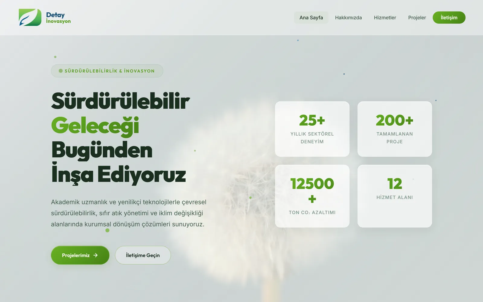 Detay İnovasyon site: a sustainability consultancy home with experience, completed-project and CO₂-reduction figures.